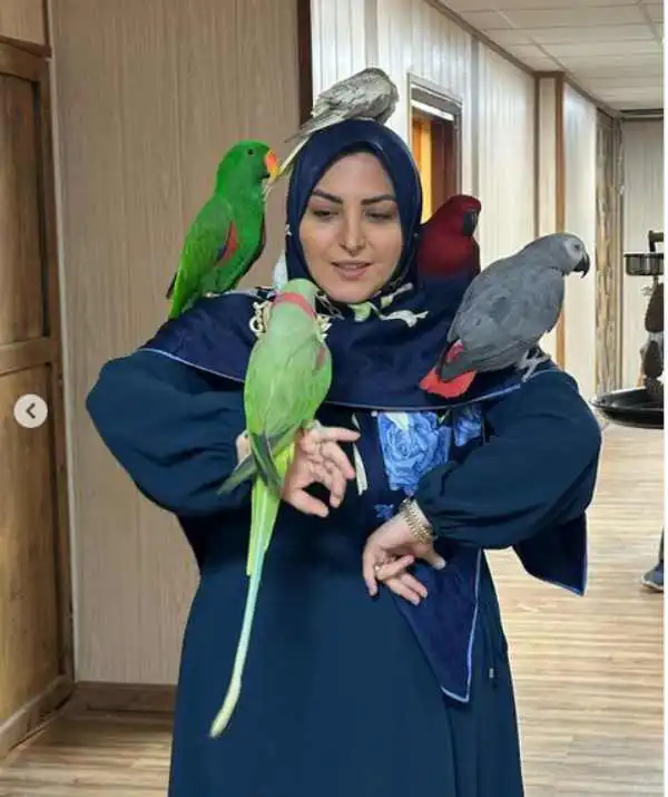 تعبیر خواب نشستن طوطی روی سر + برای مرد و زن متاهل و پسر و دختر مجرد