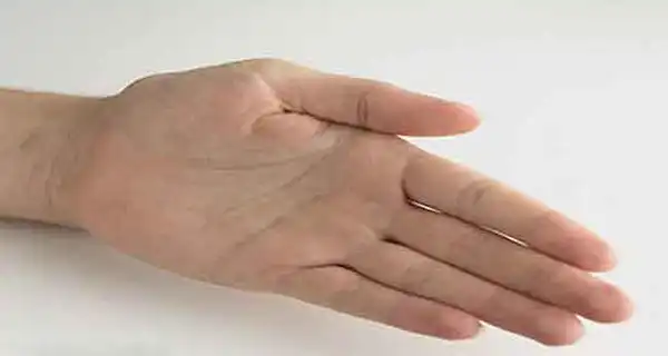 تعبیر خواب مو در کف دست برای زن متاهل + برای مرد و زن متاهل و پسر و دختر مجرد