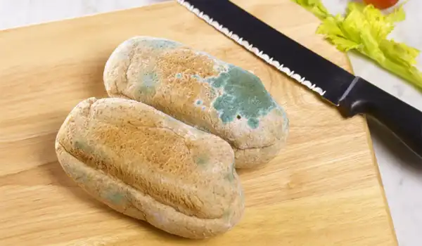 تعبیر خواب نان کپک زده برای زن متاهل + برای مرد و زن متاهل و پسر و دختر مجرد