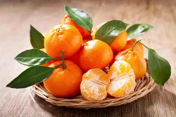 تعبیر خواب نارنگی برای زن متاهل + برای مرد و زن متاهل و پسر و دختر مجرد