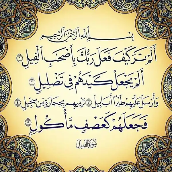 تعبیر خواب سوره فیل امام صادق + برای مرد و زن متاهل و پسر و دختر مجرد