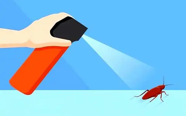 تعبیر خواب سوسک کشتن برای زن متاهل + برای مرد و زن متاهل و پسر و دختر مجرد