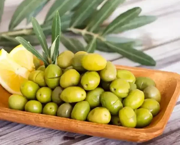 تعبیر خواب زیتون سبز چیست + برای مرد و زن متاهل و پسر و دختر مجرد