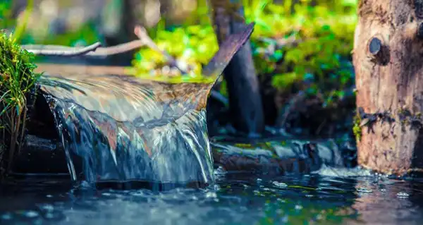 تعبیر خواب آب چشمه برای زن متاهل + برای مرد و زن متاهل و پسر و دختر مجرد
