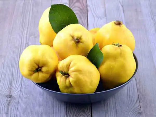 تعبیر خواب به برای زن متاهل + برای مرد و زن متاهل و پسر و دختر مجرد