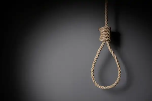 تعبیر خواب دار برای زن متاهل + برای مرد و زن متاهل و پسر و دختر مجرد
