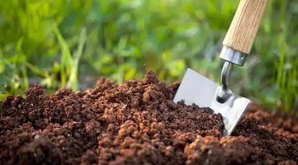 تعبیر خواب خاک برای زن متاهل + برای مرد و زن متاهل و پسر و دختر مجرد