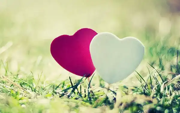 تعبیر خواب مجامعت برای زن متاهل + برای مرد و زن متاهل و پسر و دختر مجرد