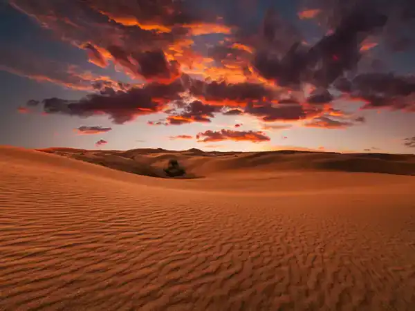 تعبیر خواب صحرا برای زن متاهل + برای مرد و زن متاهل و پسر و دختر مجرد