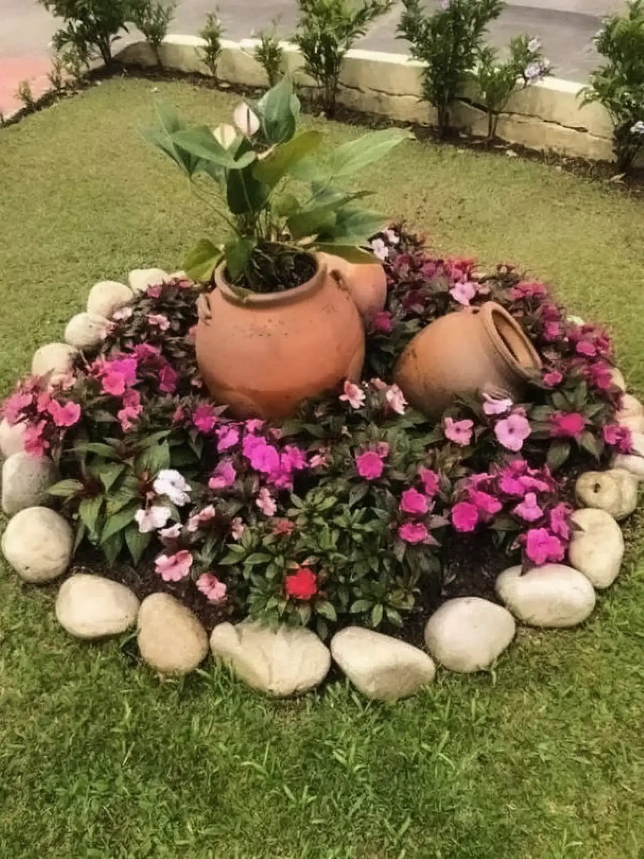 دیزاین حیاط با گل + جدیدترین طراحی باغچه و حیاط با گلهای زینتی بسیار زیبا