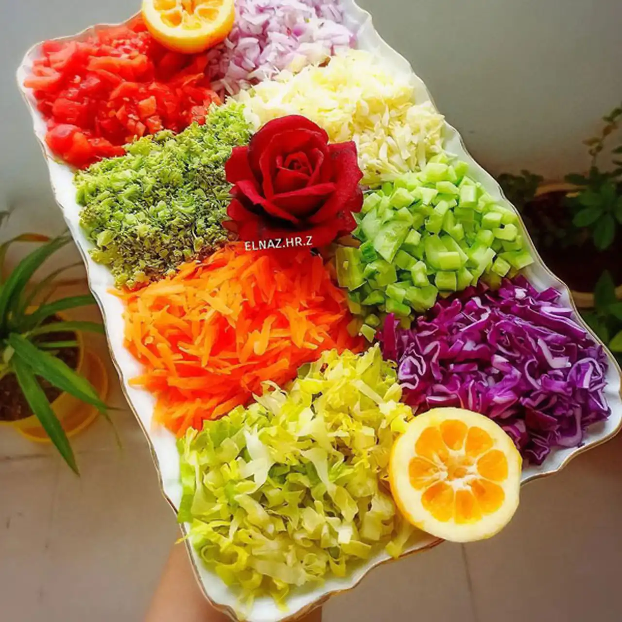 مدل سالاد تو ظرف مستطیل + بهترین مدل های سالاد در ظرف مستطیلی