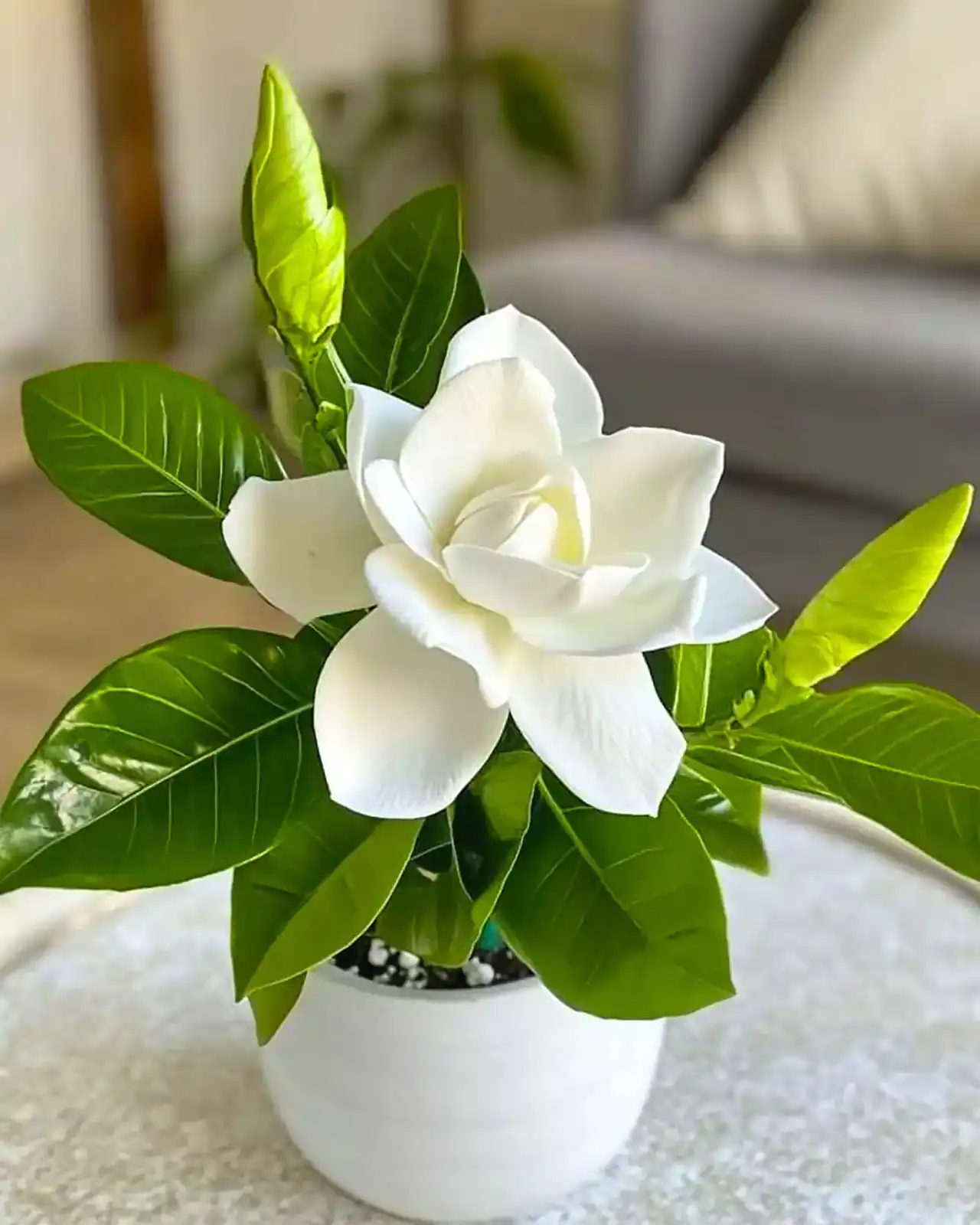 جدیدترین مدل گلدان گل طبیعی + زیباترین مدل های گلدان گل طبیعی بسیار شیک