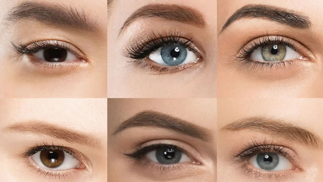 زیباترین فرم چشم کدام است + قشنگ ترین مدل های چشم را اینجا ببینید