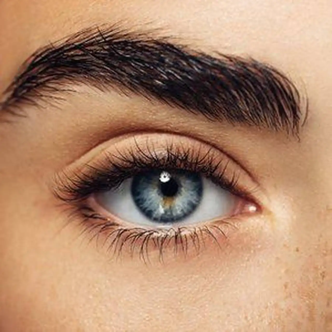 زیباترین فرم چشم کدام است + قشنگ ترین مدل های چشم را اینجا ببینید
