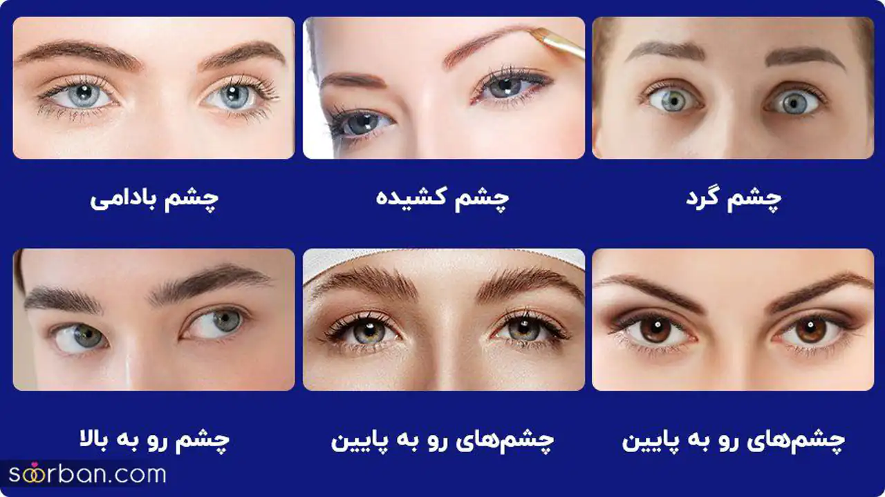 زیباترین فرم چشم کدام است + قشنگ ترین مدل های چشم را اینجا ببینید