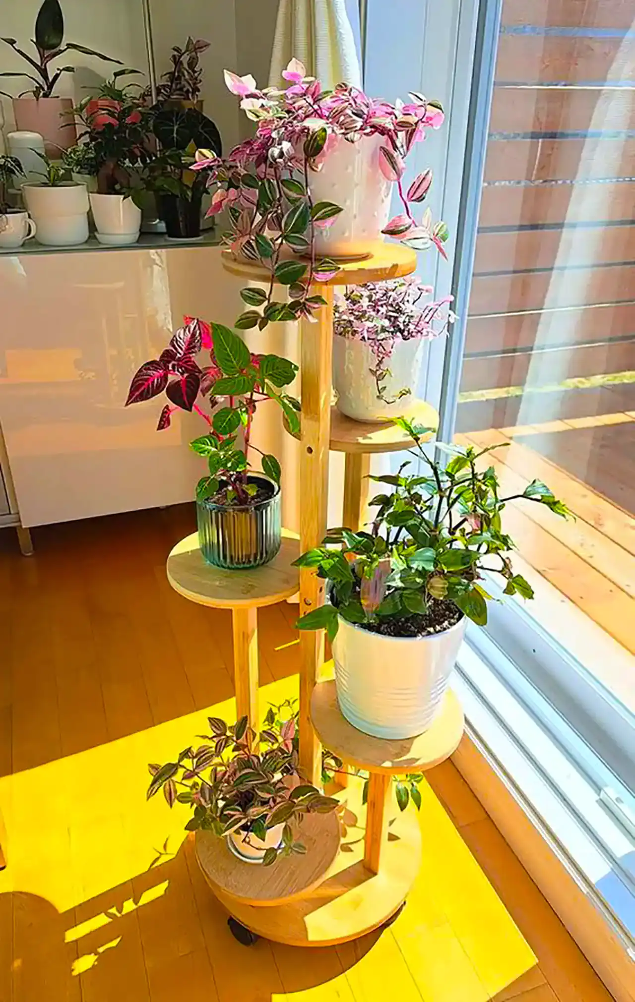 مدل گلدان برای گل طبیعی + بهترین ایده ها برای اتخاب گلدان برای گل طبیعی