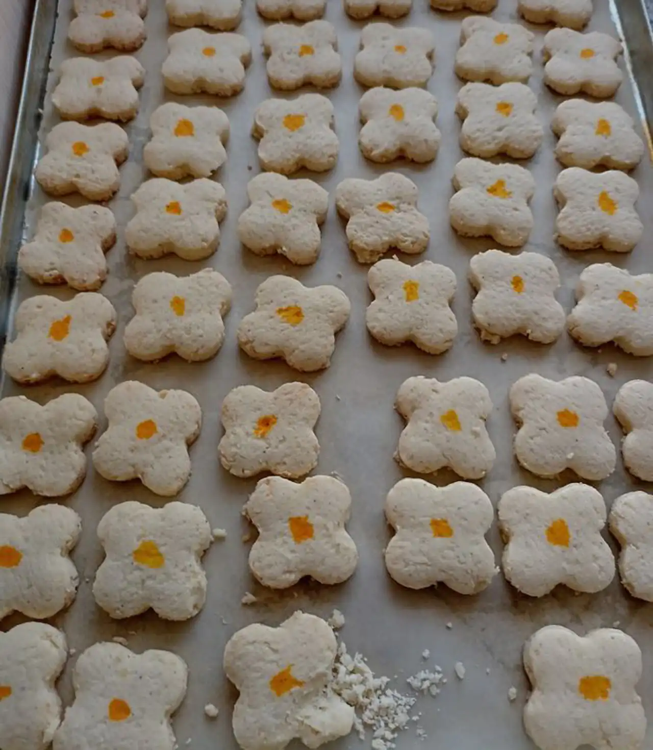 مدل شیرینی اردی با شکلات و مغز ها + رسپی خوشمزه برای کدبانو ها