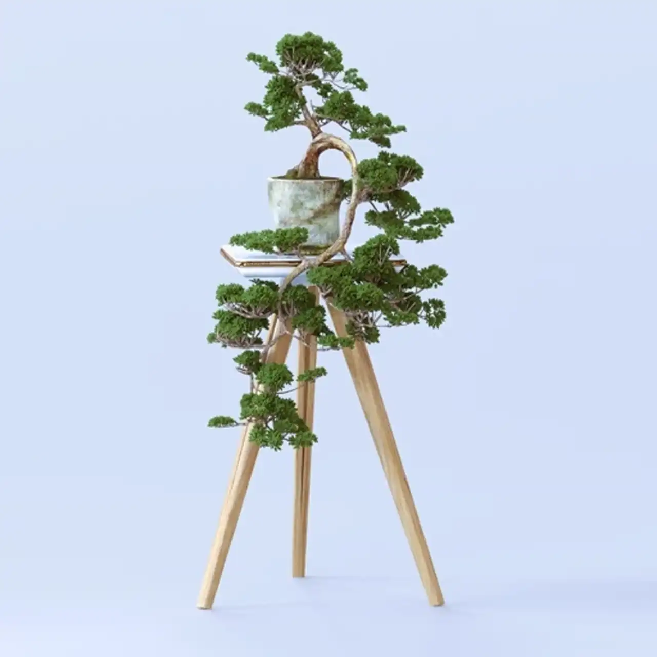 مدل استند گلدان جدید + زیباتری کردن فضای خانه با استفاده از استند گلدان چوبی و فلزی