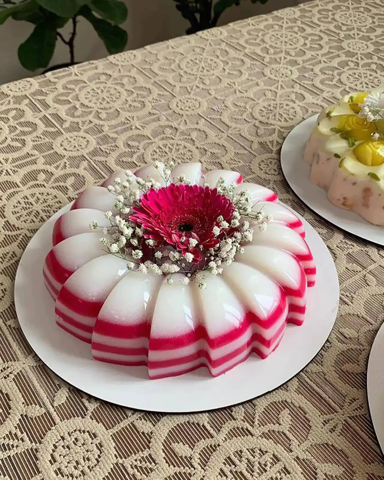 مدل ژله برای تولد تک نفره و بزرگ با طرح های ساده و خلاقانه که عاشقش میشید