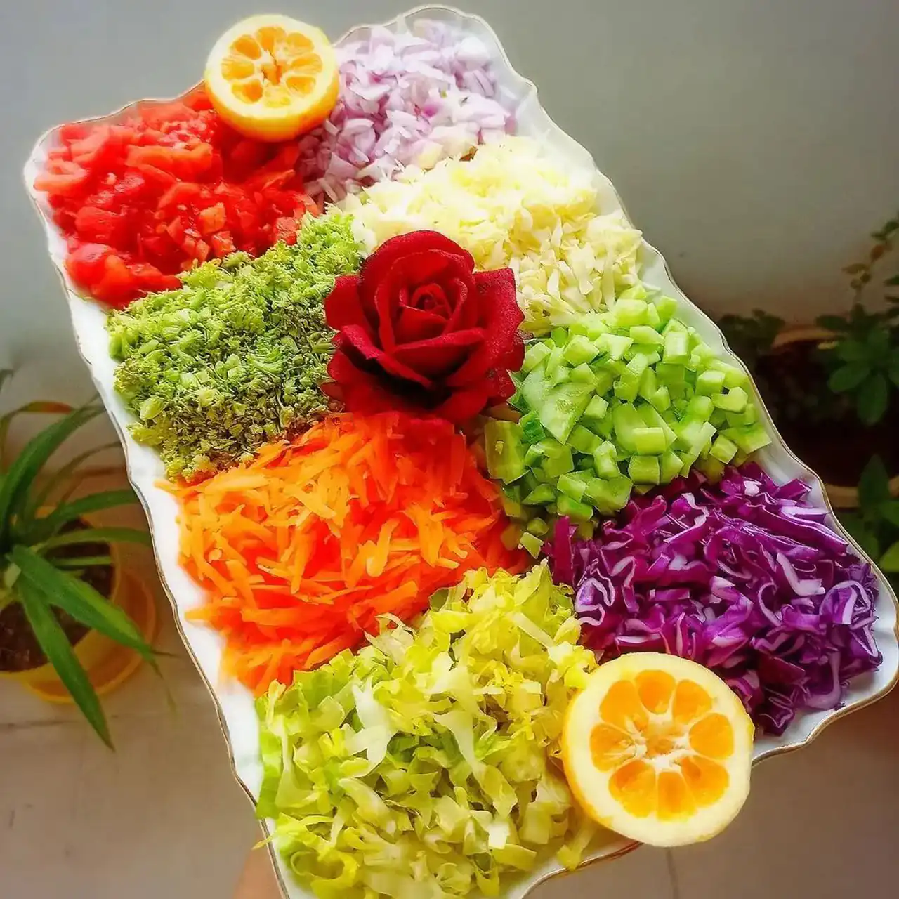 مدل سالاد کاهو + زیباترین و شیک ترین مدل های سالاد کاهو ترند امسال