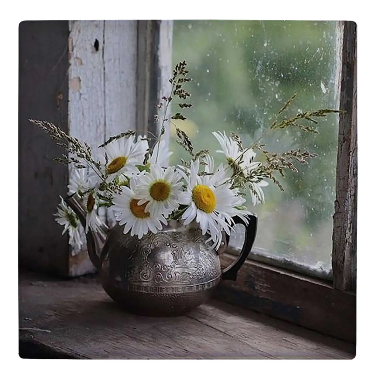 مدل گلدان پشت پنجره دکوری ساده چشمگیر و سبز برای آوردن طبیعت به داخل خانه