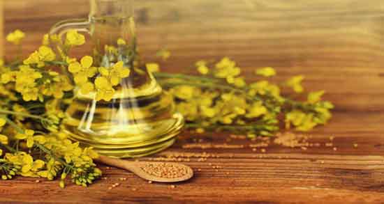 کالری روغن کلزا و طریقه مصرف روغن کلزا و فواید و مضرات روغن کلزا