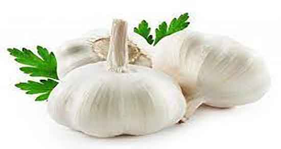 چربی سوزی با سیر و عسل و بهترین زمان خوردن سیر و عسل برای لاغری و مضرات سیر و عسل