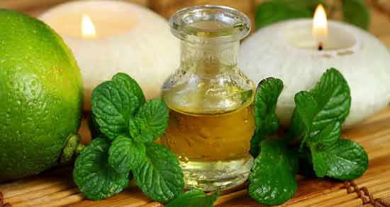 عرق نعناع برای رفلاکس معده و نفخ و لاغری و دمنوش نعناع برای رفلاکس معده
